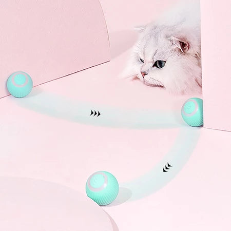 🐾 Pelota Automatica Para Gatos 🐾